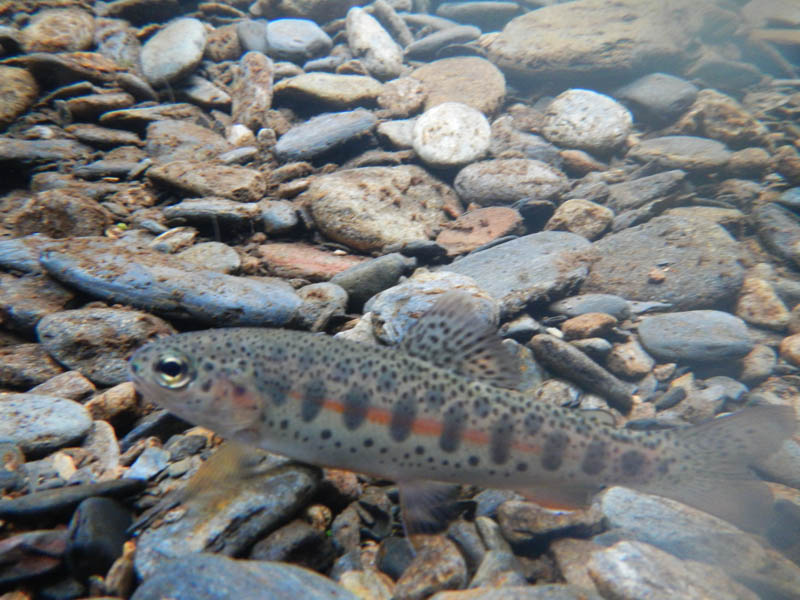 DSCN1543.jpg