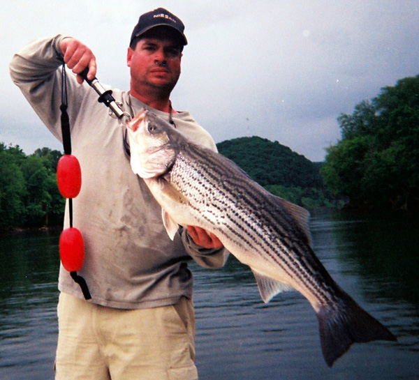 Striper Hybrid Fishing Tenessee
[url=http://www.trophyfishingtn.com/]TrophyFishingTN.Com[/url]
Keywords: Striper Fishing Tenessee