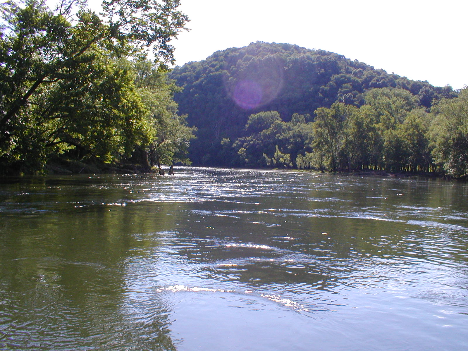 Caney
[url=http://www.trophyfishingtn.com/]TrophyFishingTN.Com[/url]
Keywords: Tennessee Scenic River Photography Trips