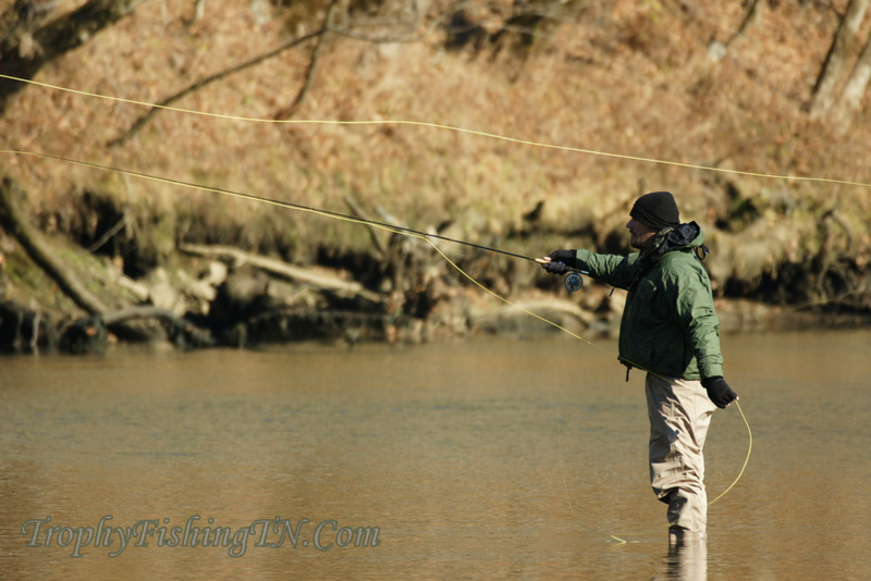 Keywords: Fly Fishing TN