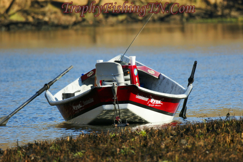 drift boat
Keywords: Fly Fishing TN