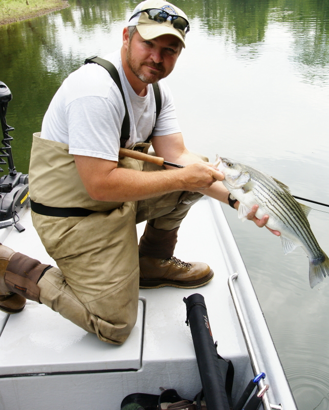 Striper Fishing Tenessee
Striper Fishing Tenessee
Keywords: Striper Fishing Tenessee