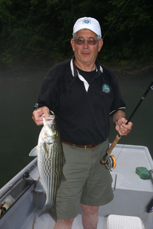 Striper Fishing Tenessee
Keywords: Striper Fishing Tenessee