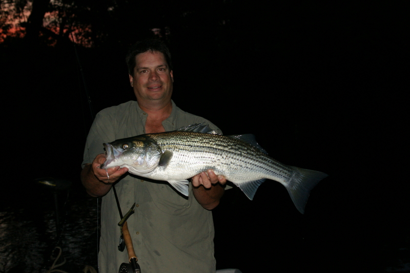 Tennessee Striper Fly Fishing Guide. 
Keywords: Tennessee Striper Fly Fishing Guide. 