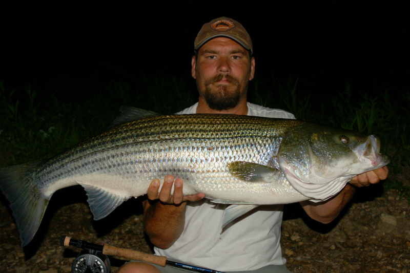 Keywords: Tennessee Striper Fly Fishing Guide. 