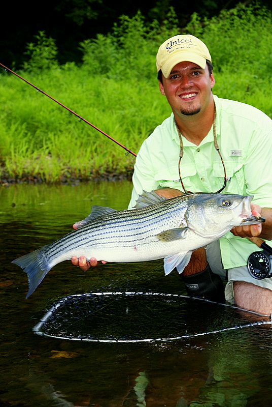Striper Fishing Tennessee
[url=http://www.trophyfishingtn.com/]TrophyFishingTN.Com[/url]
Keywords: Striper Fishing Tennessee