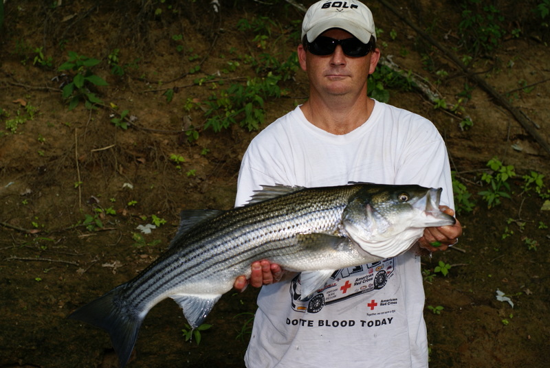 [url=http://www.trophyfishingtn.com/]TrophyFishingTN.Com[/url]
Keywords: Striper Fishing Tennessee