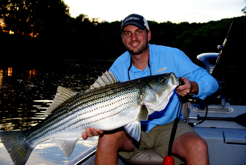 Striper Fishing Tennessee
[url=http://www.trophyfishingtn.com/]TrophyFishingTN.Com[/url]
Keywords: Striper Fishing Tennessee