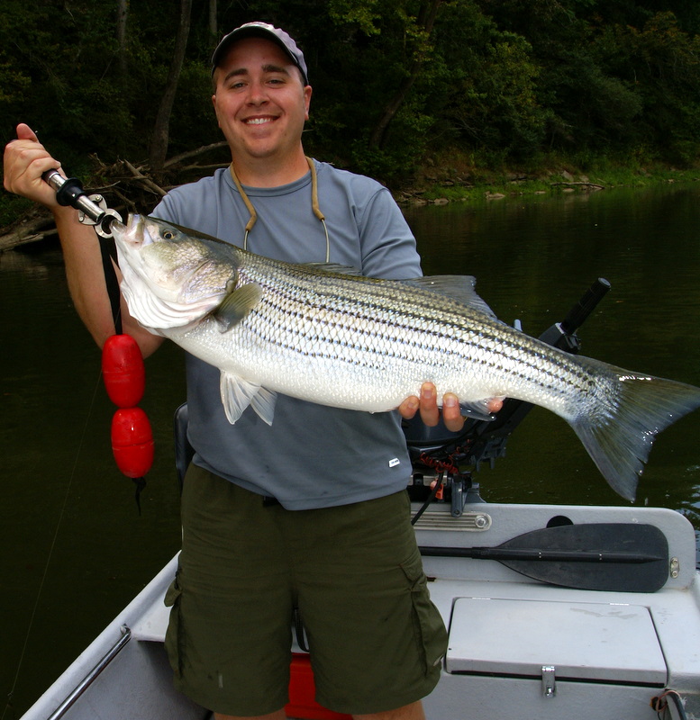 Striper Fishing Tennessee
[url=http://www.trophyfishingtn.com/]TrophyFishingTN.Com[/url]
Keywords: Striper Fishing Tennessee