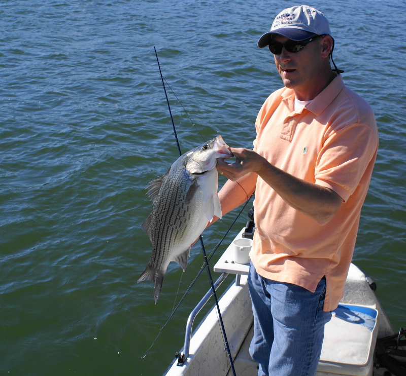 Striper fly Fishing Tennessee
[url=http://www.trophyfishingtn.com/]TrophyFishingTN.Com[/url]
Keywords: Striper fly Fishing Tennessee