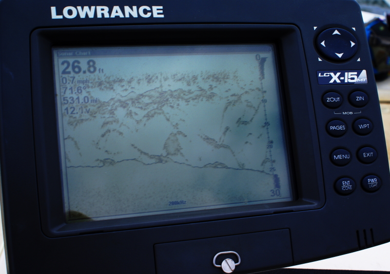 Striper fly Fishing Tennessee
[url=http://www.trophyfishingtn.com/]TrophyFishingTN.Com[/url]
Keywords: Striper fly Fishing Tennessee