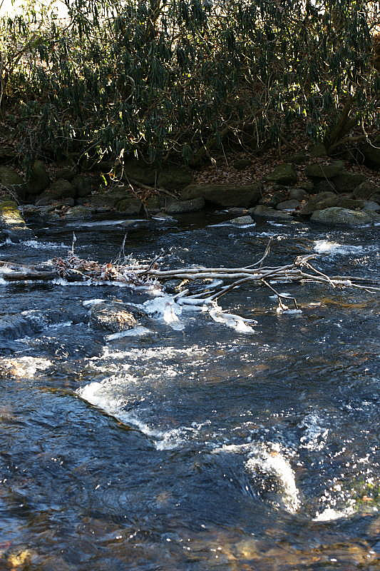 Keywords: Fly Fishing TN