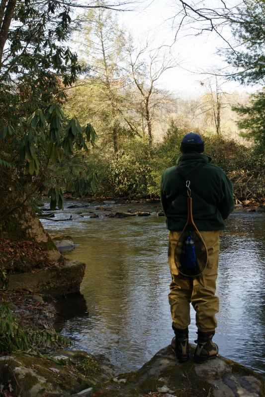 Keywords: Fly Fishing TN