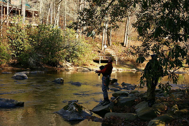 Keywords: Fly Fishing TN