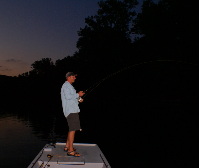 Striper fly Fishing Tennessee
[url=http://www.trophyfishingtn.com/]TrophyFishingTN.Com[/url]
Keywords: Striper fly Fishing Tennessee