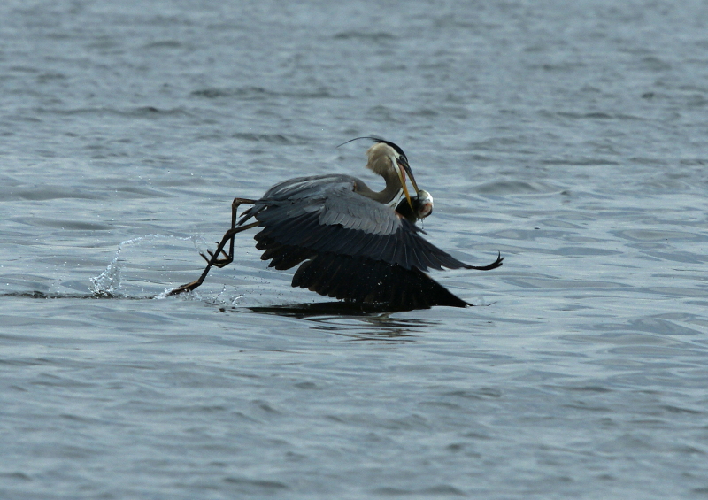 DSC03418(1) copy.JPG