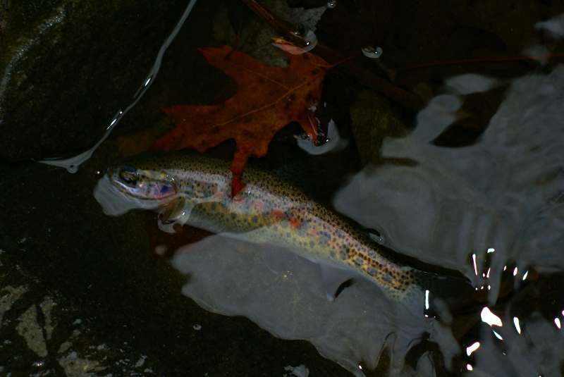 DSC05473.jpg