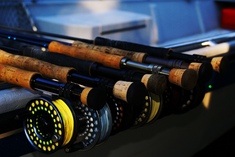 FL Trip Aug 2007 001.jpg