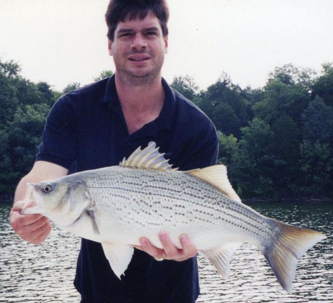 Striper Hybrid Fishing Tenessee
[url=http://www.trophyfishingtn.com/]TrophyFishingTN.Com[/url]
