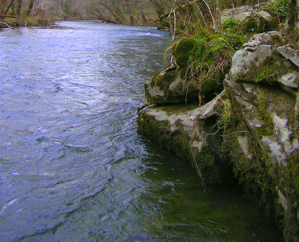 Prime
[url=http://www.trophyfishingtn.com/]TrophyFishingTN.Com[/url]
Keywords: Tennessee Scenic River Photography Trips
