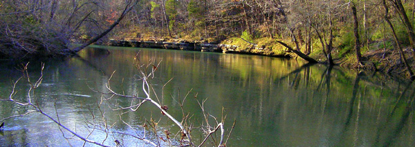 [url=http://www.trophyfishingtn.com/]TrophyFishingTN.Com[/url]
Keywords: Tennessee Scenic River Photography Trips