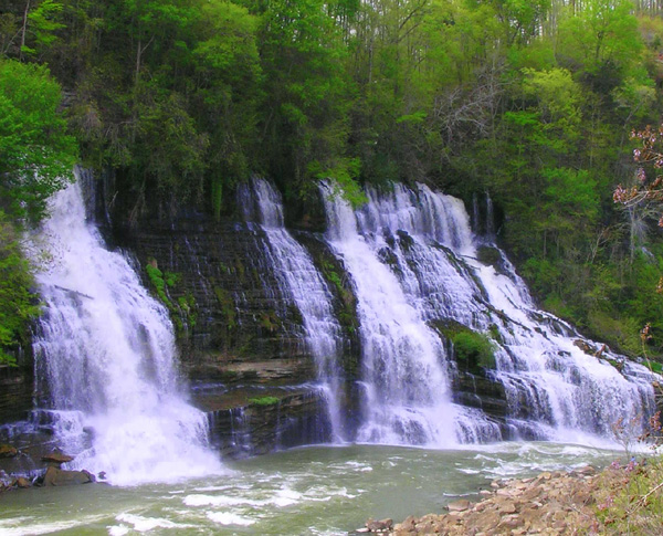 [url=http://www.trophyfishingtn.com/]TrophyFishingTN.Com[/url]
Keywords: Tennessee Scenic River Photography Trips