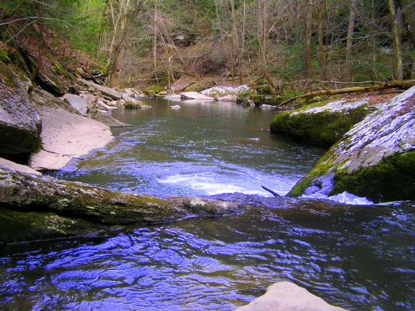 [url=http://www.trophyfishingtn.com/]TrophyFishingTN.Com[/url]
Keywords: Tennessee Scenic River Photography Trips