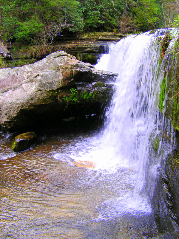 [url=http://www.trophyfishingtn.com/]TrophyFishingTN.Com[/url]
Keywords: Tennessee Scenic River Photography Trips