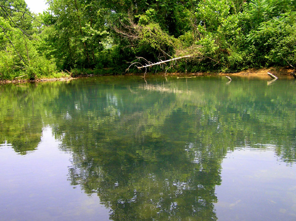 Beaver pond
[url=http://www.trophyfishingtn.com/]TrophyFishingTN.Com[/url]
Keywords: Tennessee Scenic River Photography Trips