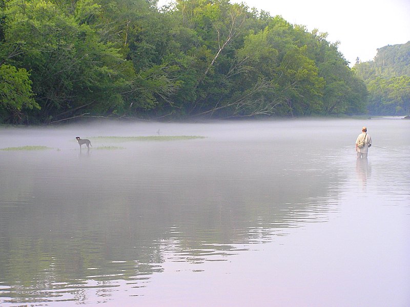 [url=http://www.trophyfishingtn.com/]TrophyFishingTN.Com[/url]
Keywords: Tennessee Scenic River Photography Trips