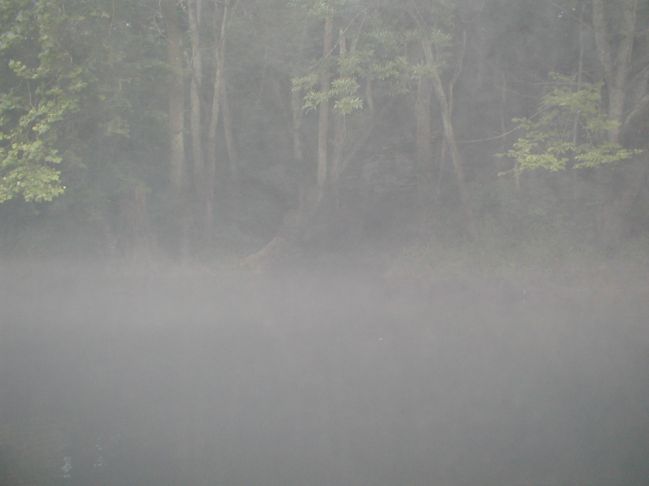 Caney
[url=http://www.trophyfishingtn.com/]TrophyFishingTN.Com[/url]
Keywords: Tennessee Scenic River Photography Trips