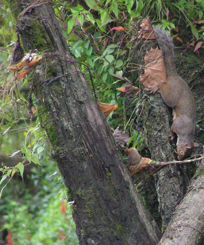 [url=http://www.trophyfishingtn.com/]TrophyFishingTN.Com[/url]
Keywords: Tennessee Scenic River Photography Trips