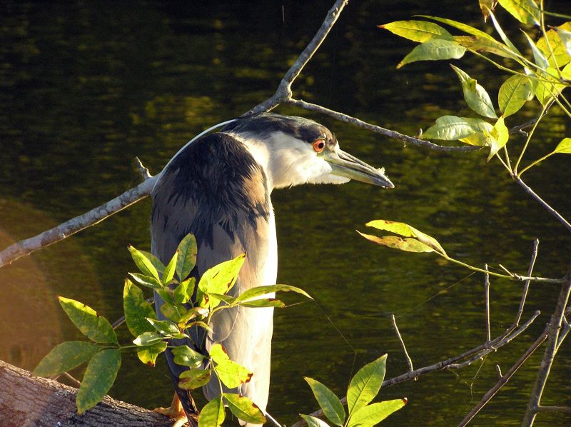 [url=http://www.trophyfishingtn.com/]TrophyFishingTN.Com[/url]
Keywords: Tennessee Scenic River Photography Trips