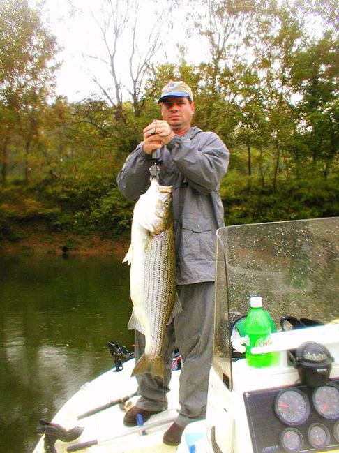 Striper Hybrid Fishing Tenessee
[url=http://www.trophyfishingtn.com/]TrophyFishingTN.Com[/url]
