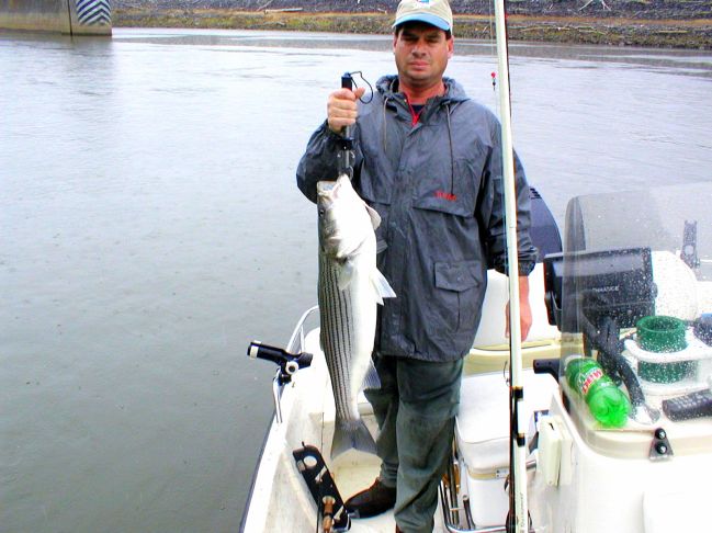 Striper Hybrid Fishing Tenessee
[url=http://www.trophyfishingtn.com/]TrophyFishingTN.Com[/url]
