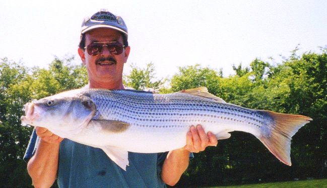 Striper Hybrid Fishing Tenessee
[url=http://www.trophyfishingtn.com/]TrophyFishingTN.Com[/url]
